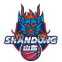 Shandong Hi-Speed Kirin