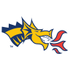 Drexel Dragons