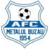 Buzau Metallo