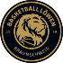 Basketball Loewen Braunschweig