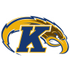 Kent State Golden Flashes