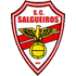Salgueiros