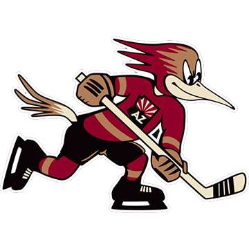 Tucson Roadrunners