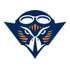 Tennessee Martin Skyhawks