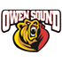 Owen Sound Attack