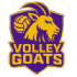 Volley Goats Mitteldeutschland