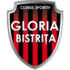 Gloria Bistrita