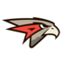 Omskie Krylia logo