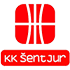 KK Tajfun Sentjur